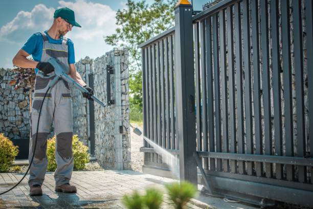 Best Driveway Pressure Washing  in Ripley, OH
