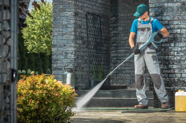 Boat and Dock Cleaning in Ripley, OH