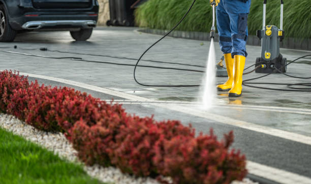 Professional Pressure Washing in Ripley, OH