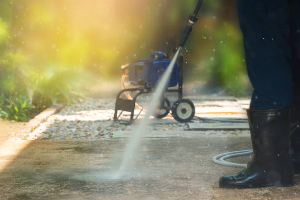 Best Dumpster Area Cleaning  in Ripley, OH